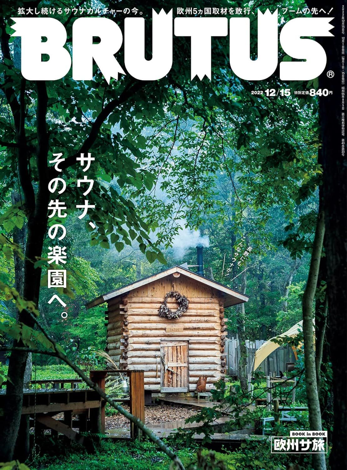 BRUTUS 2022年12月15日号の表紙。「サウナ、その先の楽園へ。」の特集見出し